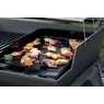 Weber plancha, 31,3 x 44,3 cm -> Spirit 300
