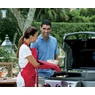 Weber plancha, 31,3 x 44,3 cm -> Spirit 300