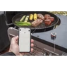 Weber iGrill mini grillhőmérő